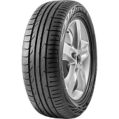 Шины Evergreen Dynacontrol ES880 315/35R20 110Y